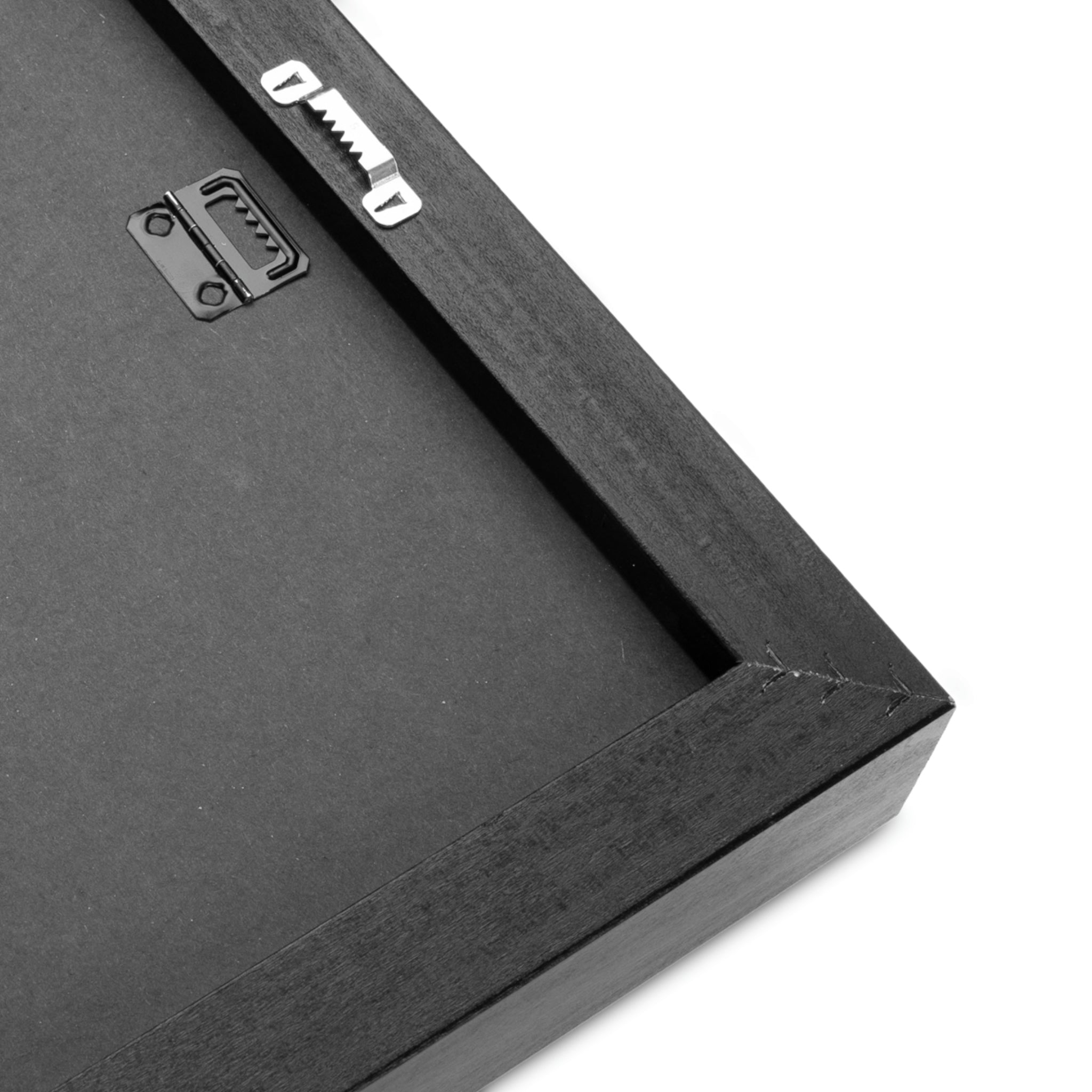 "Vivid Dreams". The Coast x Spatial Dreams Co.